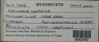 Image Associated With the Occurence